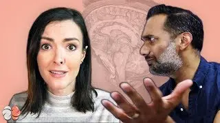 Real Psychologist Reacts To My Brain Tips ft. @drali