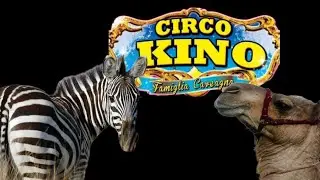 Circo Kino (Famiglia Caveagna)  La parata degli animali esotici