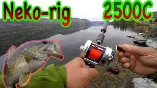 Neko-rig Smallmouth Bass Fishing -Part2 Abu 2500C-