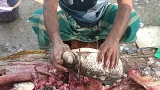 Amazing Big Rohu Fish Cutting Skills In Bangladesh Local Fish Market 