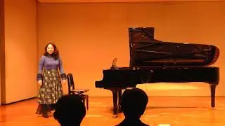 Chopin / Nocturne Op. 48 No. 2 - Prelude Op. 28 No. 20 - Revolutionary Etude (YOKO UCHIDA)