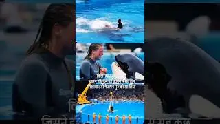 Dolphin 😭 #youtubeshorts #dolphin #dolphins #trendingshorts #youtubeshorts