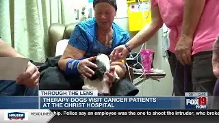 Therapy dogs head to Christ Hospital to bring smiles to cancer patients