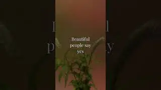 David Guetta & Sia - Beautiful People | Lyrics