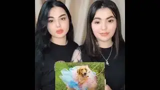 tiktok.com/@footboll.fan.account