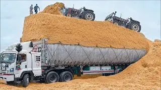 Dangerous & Incredible Transport Operations &ndash; The World's Biggest Machines in Action!