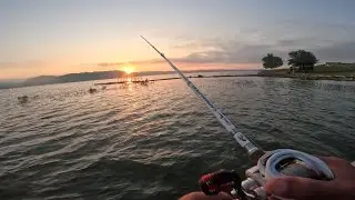 Douglas lake Bass fishing. June 15th.