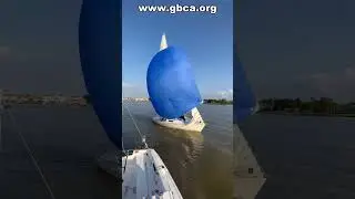GBCA Wednesday Night Races #shorts #sailing