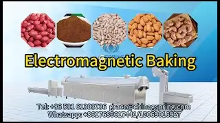 professional factory peanut roasting machine#machine # peanut