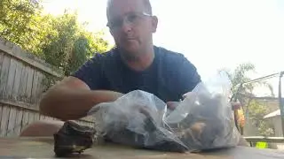 Roo Tail Chunks