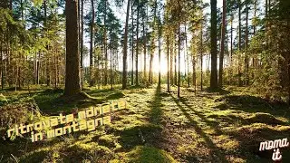 METAL DETECTOR ITALIA - RITROVAMENTO MONETE IN MONTAGNA 2021 | FINDING COINS IN THE MOUNTAINS 2021