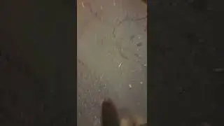 КОЛЛЕКТИВНОЕ ГАДАНИЕ НА ТАРО ● ВЫ БОЛЬШЕ НЕ ПРЕДСТАВЛЯЕТЕ АКТИВНУЮ УГРОЗУ #коллективноегаданиенатаро