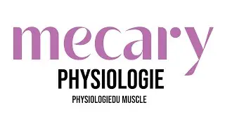 Cours 05 - Physiologie du Muscle - MECARYphysio ( Soundous Boukerreche )