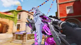 THE MOST EXPENSIVE QQ9 SKIN EVER!