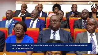 GABON POLITIQUE : ASSEMBL&Eacute;E NATIONALE, LA R&Eacute;VOLUTION PARLEMENTAIRE DE LA VE R&Eacute;PUBLIQUE ?