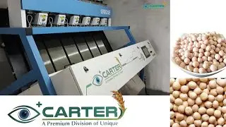 Unique Carter color sorter machine | Comodity Pea #MATAR #2023