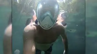 SWIMMING AT WEKIWA SPRINGS 2022 #travel #gusty #florida #freediving