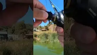 He knocked slack in my line like a biggin&hellip; #simonsaysher #bassfishing #punching #tules #fypfishing