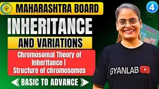 Class 12 Biology - Chp 3 Inheritance & Variations | Part 4 Structure of chromosomes | Gyanlab