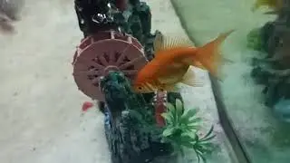 Redmi note 8 pro super slow motion 960 fps sample