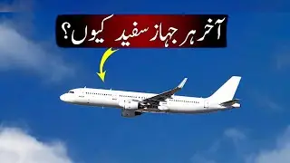 Why Are Airplanes White in Color? 