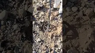 Metal detecting #shorts #youtubeshorts