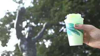Water Ice: Philadelphia's Favorite Summer Treat | My Go-To