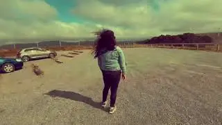 #Must#Do&rsquo;s#In#Wellington#West#Wind#Farms#2nd#Windiest#City#In#The#World#Mysterious#New#Zealand#