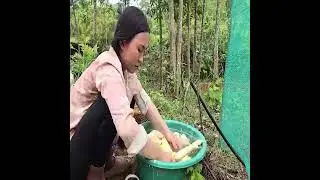 A single mother and her children spent time caring for a girl at their home.
