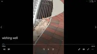 Mud City: Wishing Well