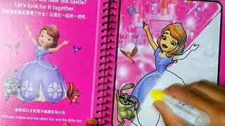 Magic Water Book Disneyland Book |Sofia Princess Book||P. Play&Learn