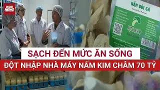 Bí mật: Hành trình 42 ngày trong nhà máy vô trùng, lời giải cho cơn khát nấm sạch của người Việt