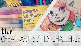 The Cheap Art Supply Challenge! ⊙﹏⊙