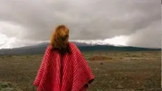 THE WOODEN BIRDS - Long Time to Lose It