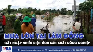 Mưa lớn tại L&acirc;m Đồng g&acirc;y ngập nhiều diện t&iacute;ch sản xuất n&ocirc;ng nghiệp - VNAMedia