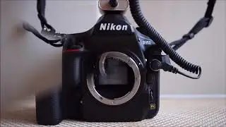 Nikon D850, D500,D5 continuous shooting Teat