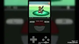 Pokemon negro #24