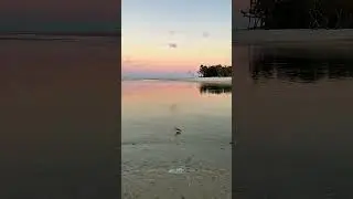 Low Tide, a Full Moon and Breathtaking Colors at Wiggins Pass in North Naples, Florida (01/03/26)