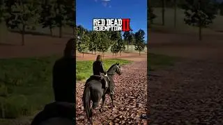 Что произойдет, если пересечь границу карты в Red Dead Redemption 2?