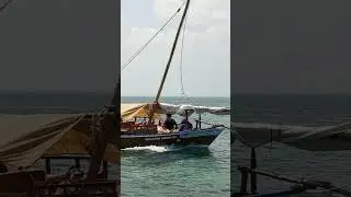 Our sailing boat for wasini tours and sunsets