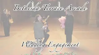 NYC Wedding Proposals / Engagements at Bethesda Terrace Arcade on Central Park Horse Carriage Ride