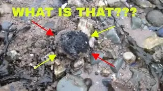 AMAZING FIND OF THE YEAR OMG !! - Merry Christmas (The Yorkshire Digger)