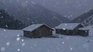 Heavy Blizzard & Blasting Wind Sounds for Deep Sleep❄️Howling Wind & Blowing Snow ❄️ Sounds to Sleep