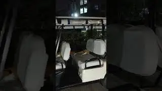 Electric Buggy