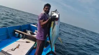 Traditional long line fishing | big tuna fish catching at deep sea