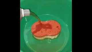#ASMR Breaking a new sponge #sudsy #disinfectant