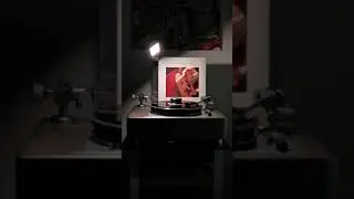 Tekton Design Impact Tower Speakers