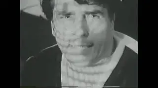 The Tigermen - Tiger Girl (NY 1966) Garage Rock