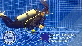 How to Remove and Replace Scuba Diving Weight Belt (Underwater) 🤿 PADI Divemaster Skill Circuit