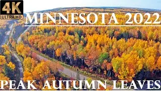Peak Autumn Leaves in Northern Minnesota (2022 4K) Beautiful Full Fall Foliage Colors from Drone